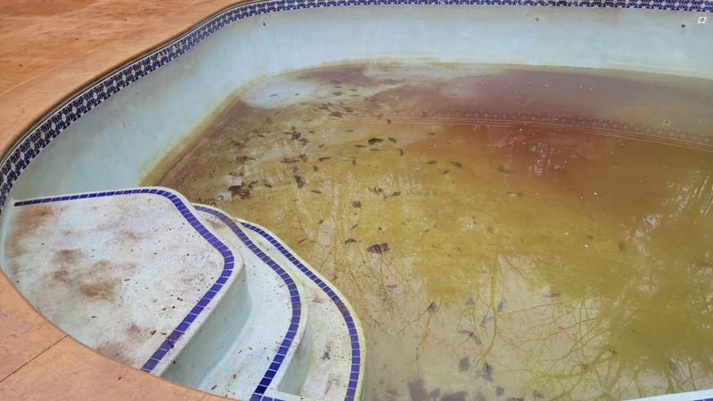 Mosaic tile pool renovation New England