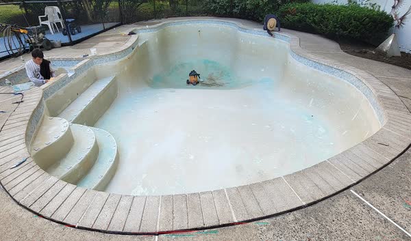 Large gunite pool renovation with curved steps